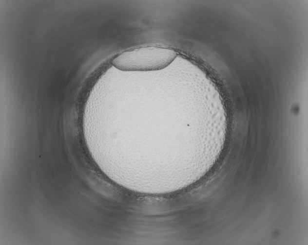 X0000116821310201001291614