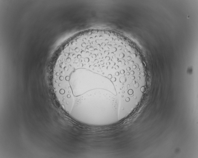 X0000116821311201001291614