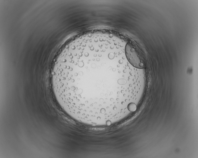 X0000116821313201001291614