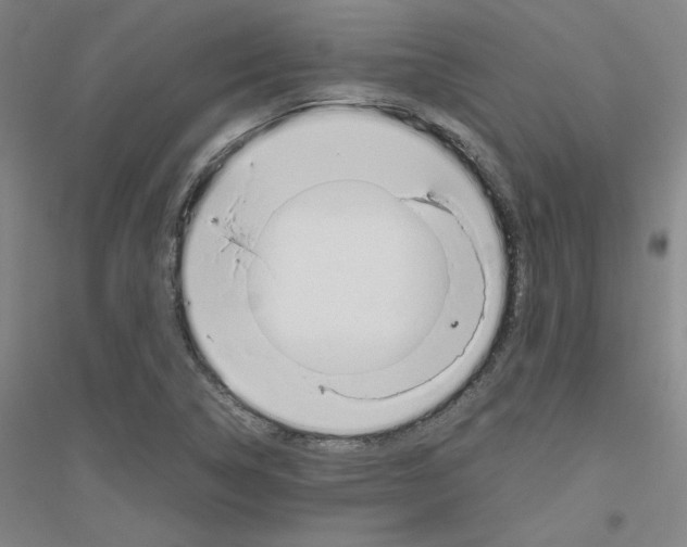 X0000116821314201001291614