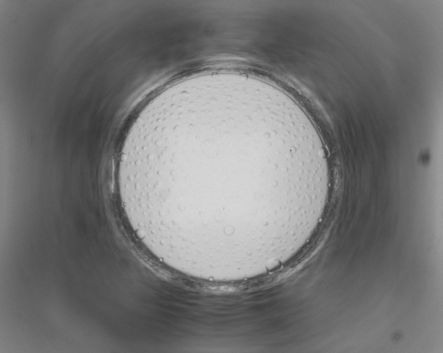 X0000116821317201001291614