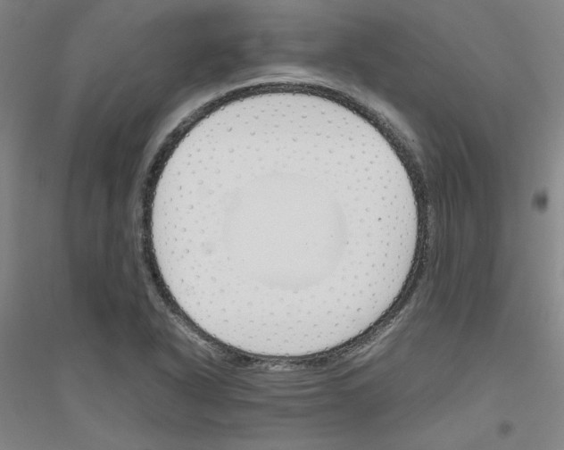 X0000116821318201001291614