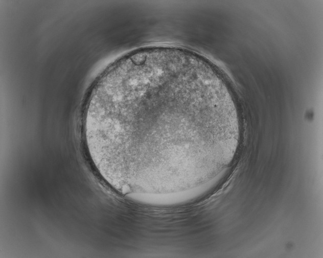 X0000116821319201001291614