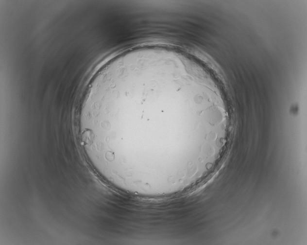 X0000116821321201001291614