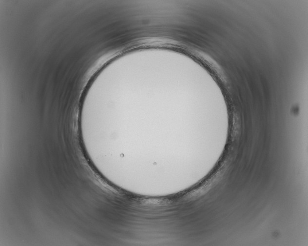 X0000116821322201001291614