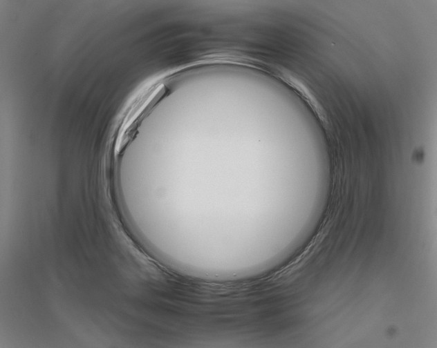 X0000116821323201001291614