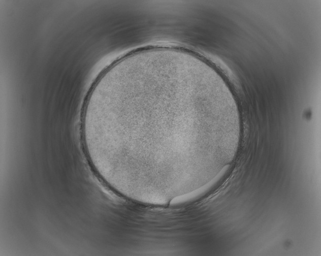 X0000116821327201001291614