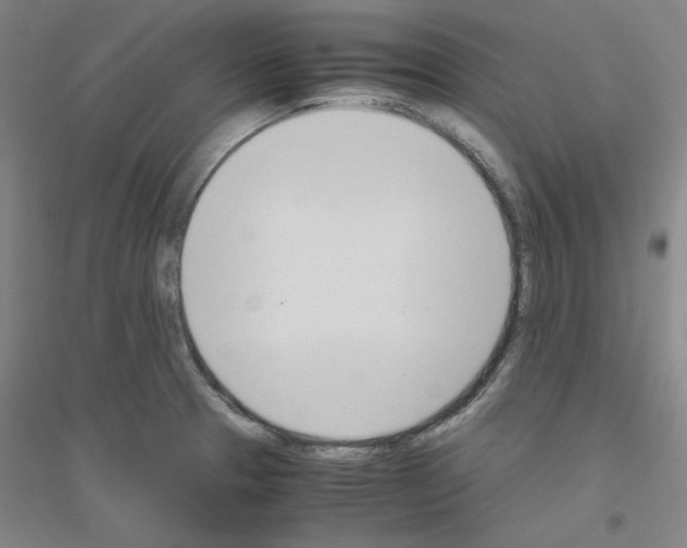 X0000116821329201001291614