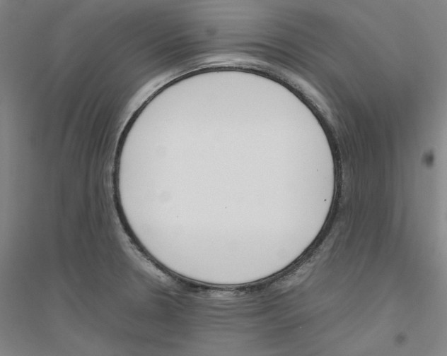 X0000116821330201001291614