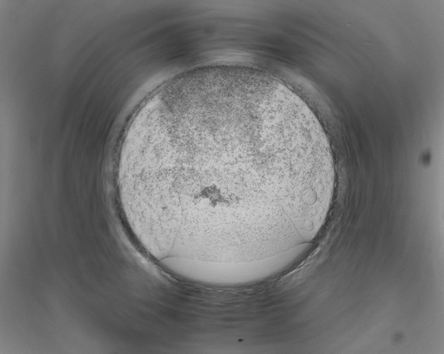 X0000116821331201001291614