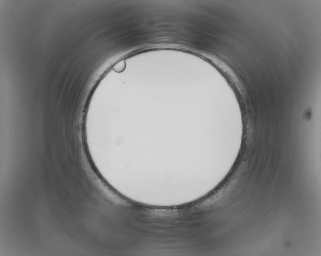 X0000116821333201001291614