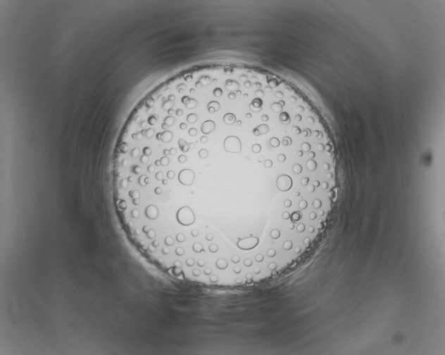 X0000116821335201001291614