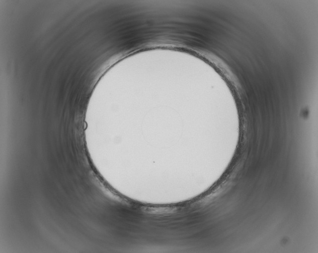 X0000116821337201001291614