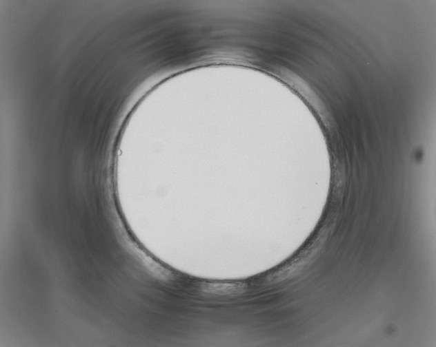 X0000116821339201001291614