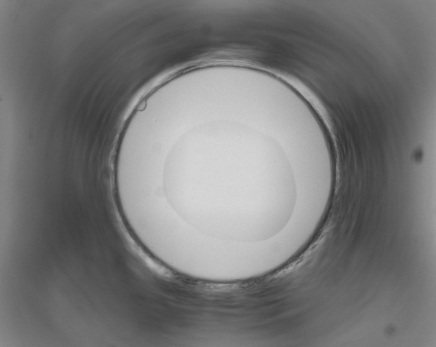 X0000116821341201001291614