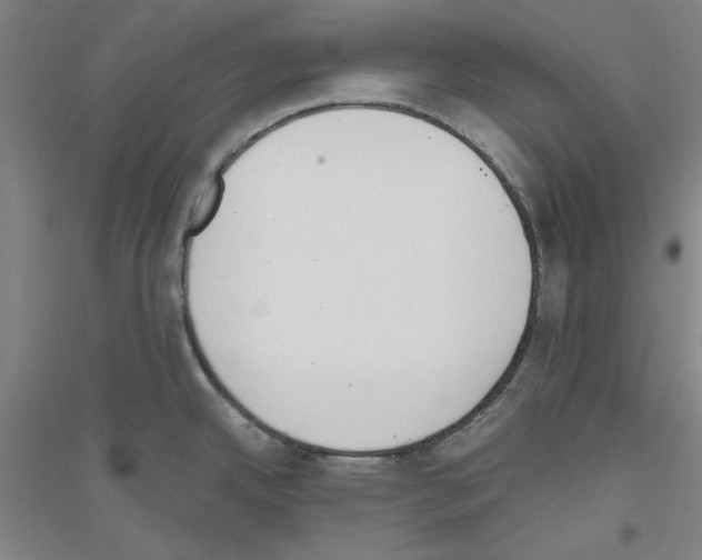 X0000116821342201001291614