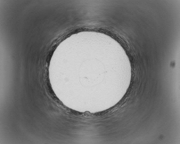 X0000116821349201001291613