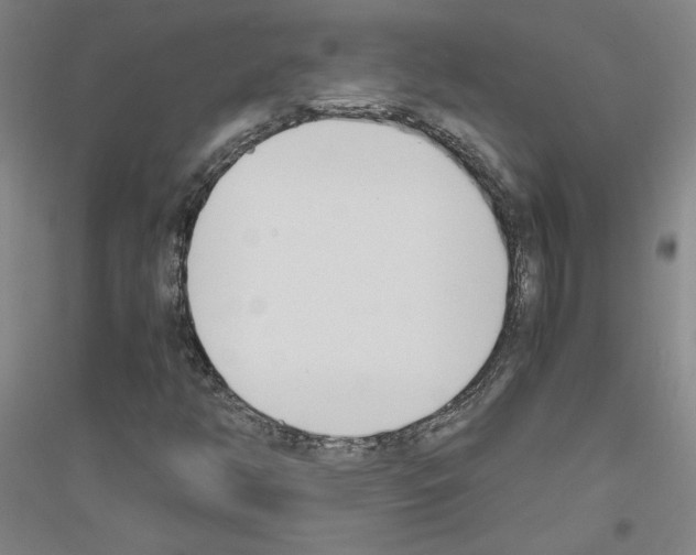 X0000116821350201001291613