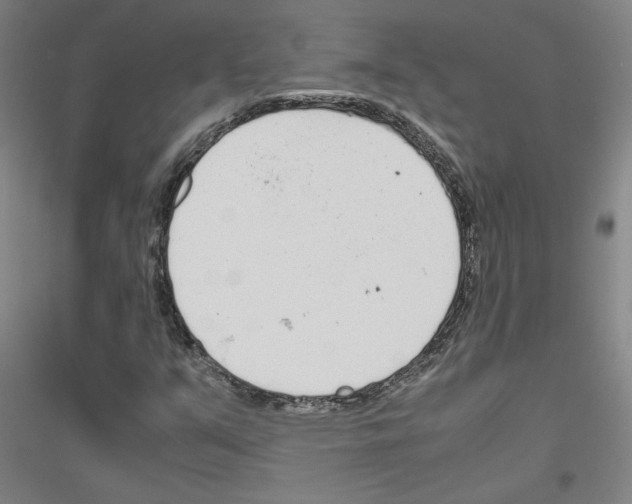 X0000116821351201001291613