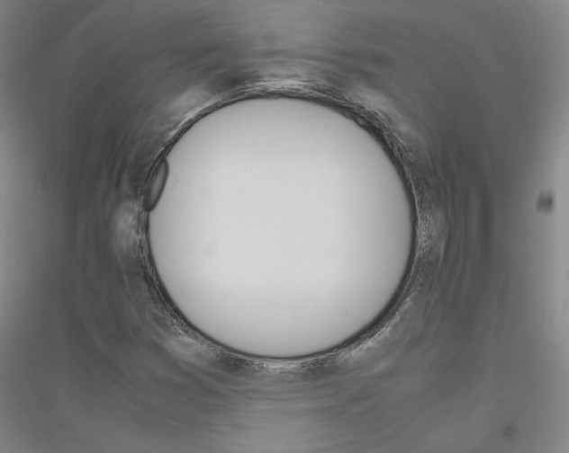 X0000116821353201001291613