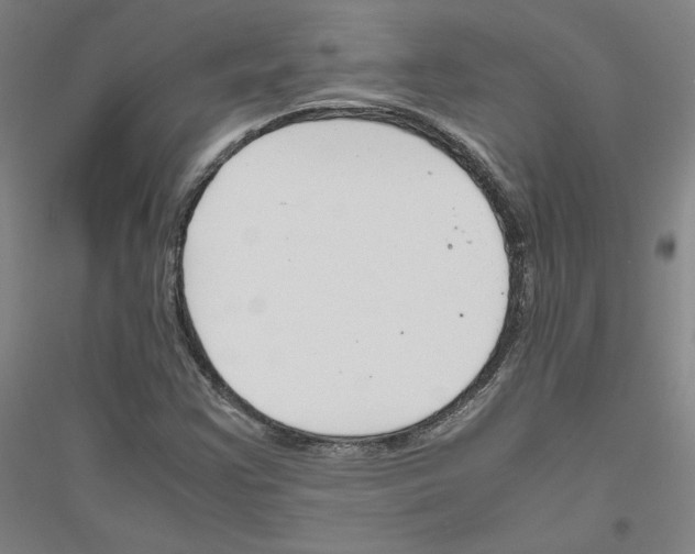 X0000116821355201001291613