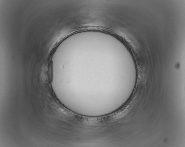 X0000116821357201001291613