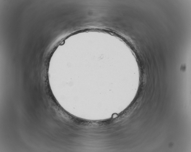 X0000116821359201001291613