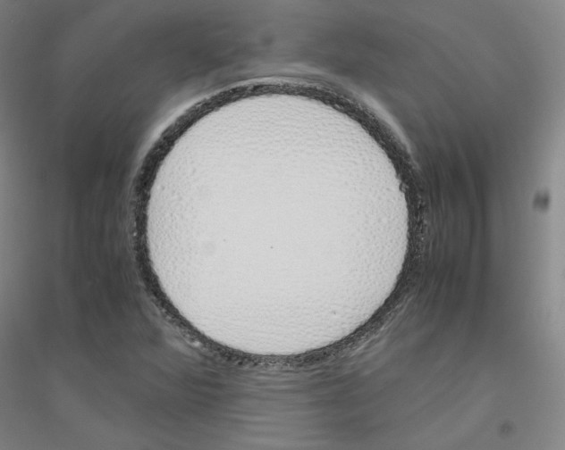 X0000116821360201001291613