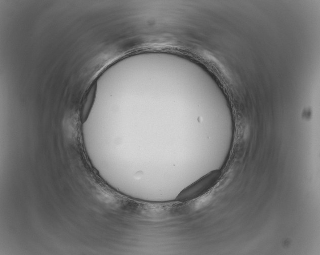 X0000116821361201001291613