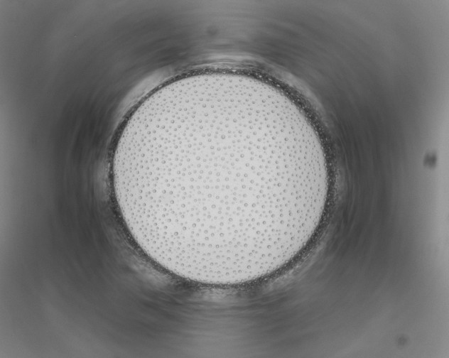 X0000116821362201001291613