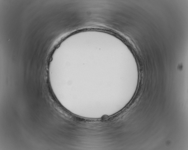 X0000116821363201001291613