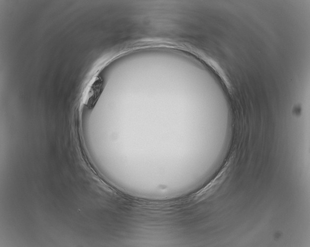 X0000116821365201001291613