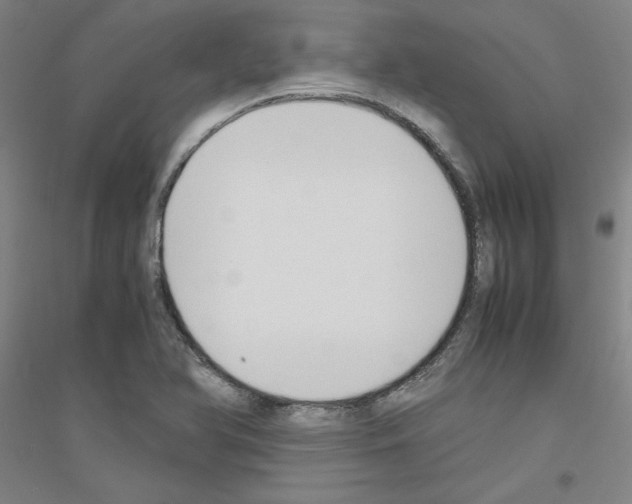 X0000116821366201001291613