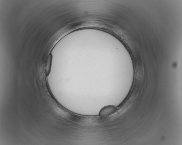 X0000116821369201001291613