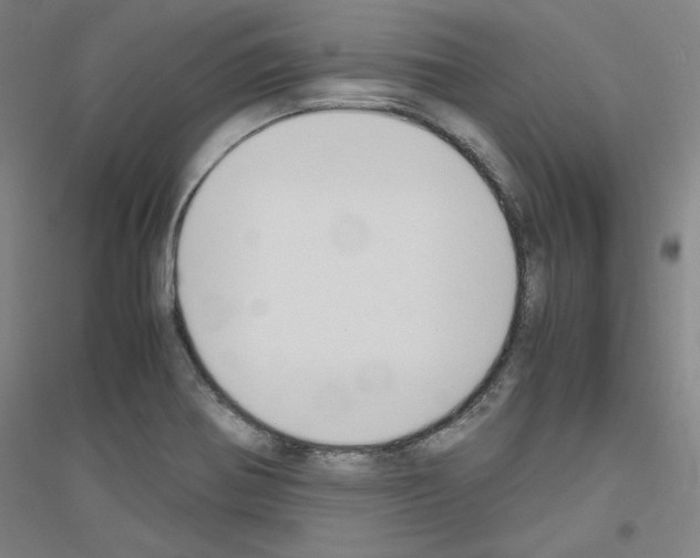 X0000116821370201001291613