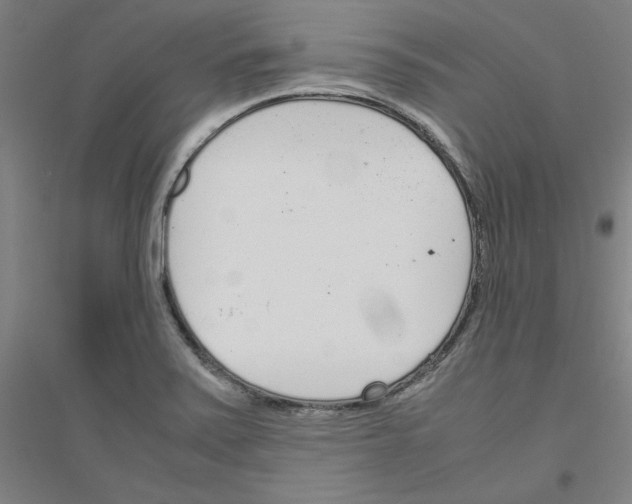 X0000116821371201001291613