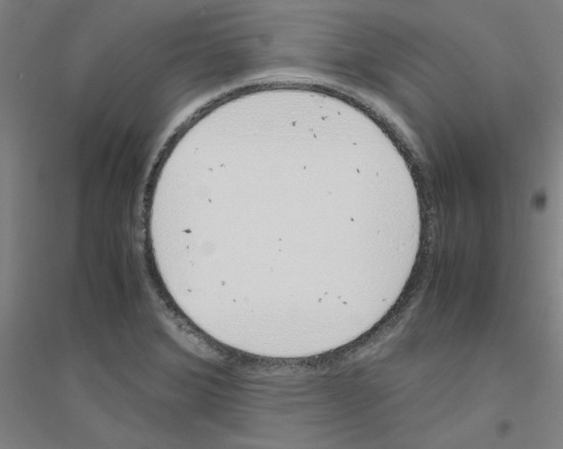 X0000116821372201001291613