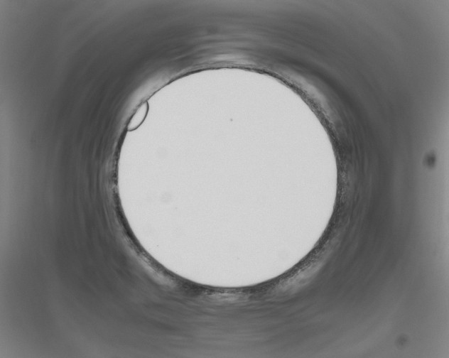 X0000116821373201001291613