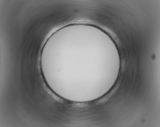 X0000116821374201001291613