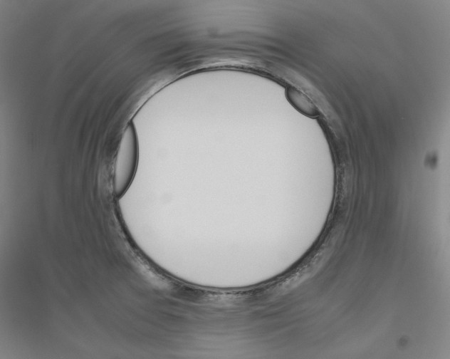 X0000116821377201001291613