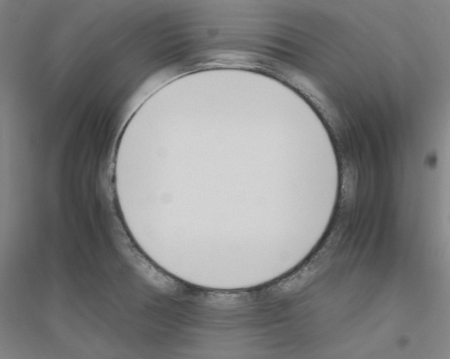 X0000116821378201001291613