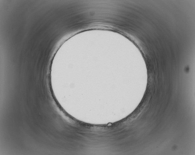 X0000116821379201001291613