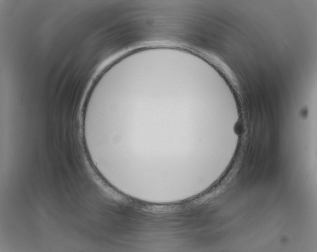 X0000116821380201001291613