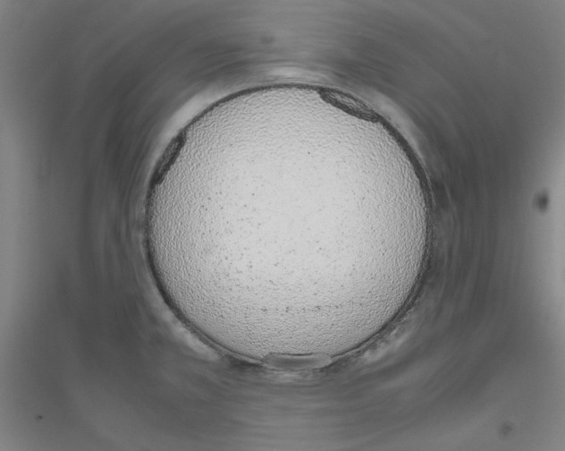 X0000116821381201001291613