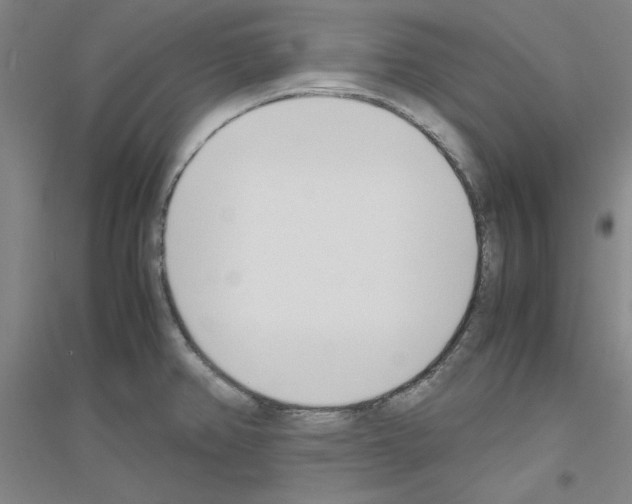 X0000116821382201001291613