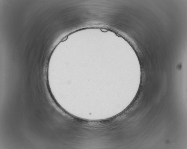 X0000116821383201001291613