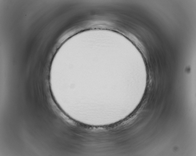 X0000116821384201001291613