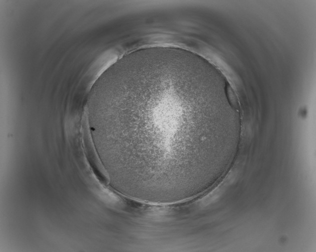 X0000116821385201001291613