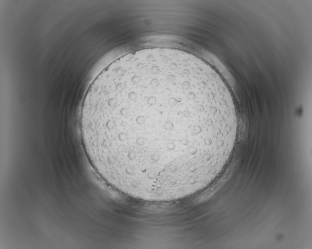 X0000116821386201001291613