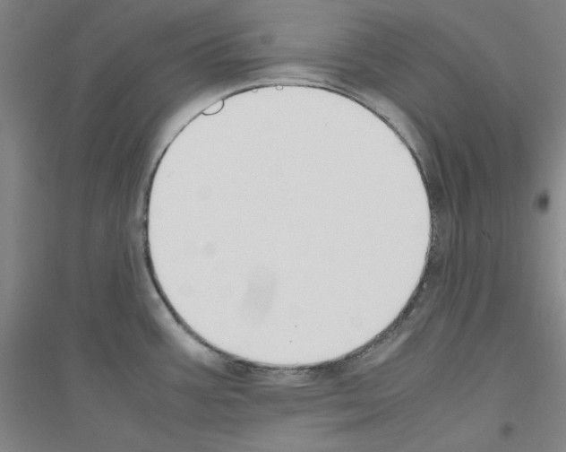 X0000116821387201001291613